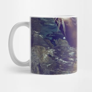 Cute Seal Mug